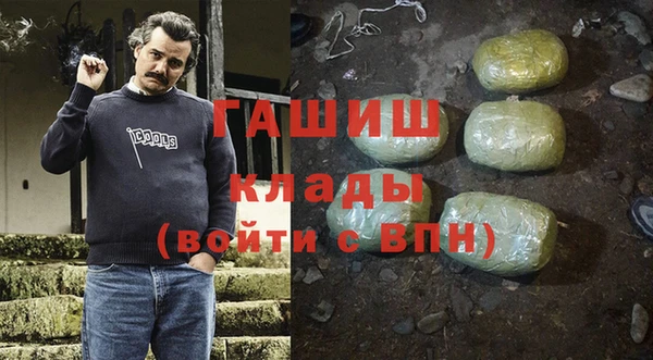 стаф Бородино