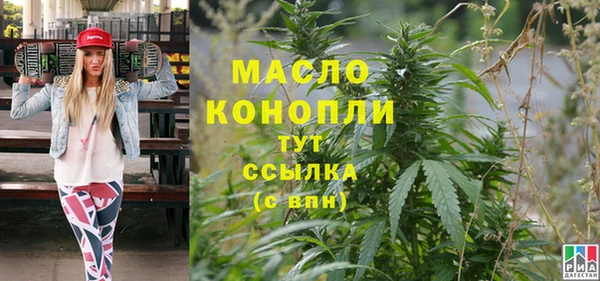 стаф Бородино