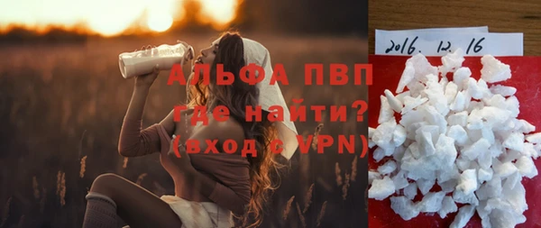 прущие грибы Бронницы
