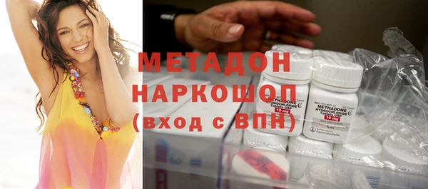 прущие грибы Бронницы