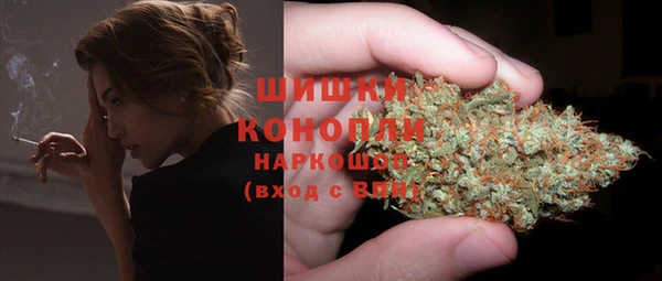 стаф Бородино