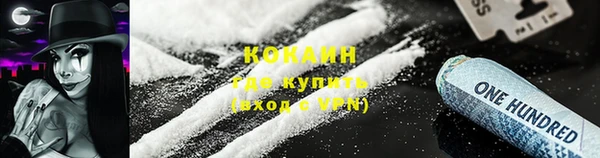 прущие грибы Бронницы