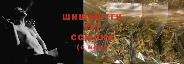 стаф Бородино
