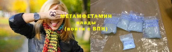 прущие грибы Бронницы