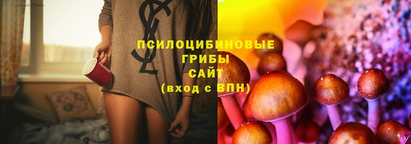 прущие грибы Бугульма