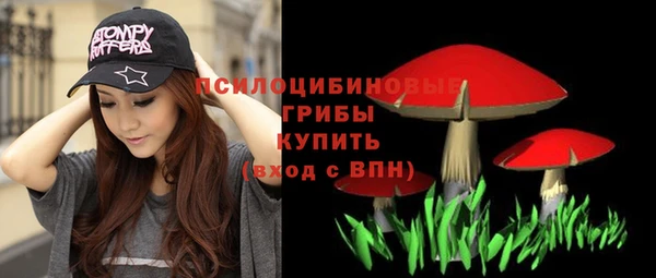прущие грибы Бугульма