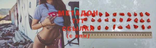 прущие грибы Бронницы