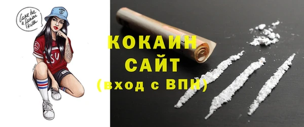 прущие грибы Бронницы
