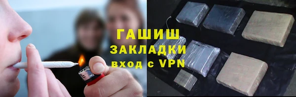 стаф Бородино