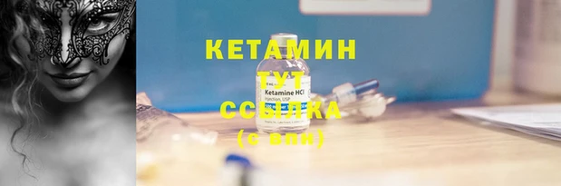 прущие грибы Бронницы