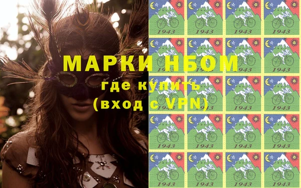 стаф Бородино