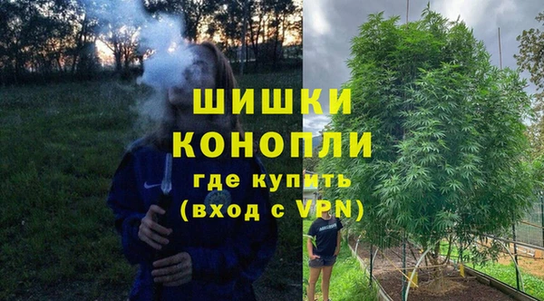прущие грибы Бугульма