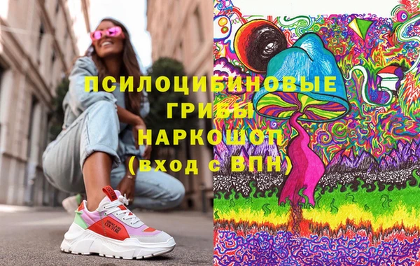 прущие грибы Бугульма