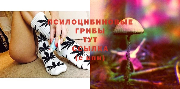прущие грибы Бугульма
