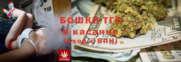стаф Бородино