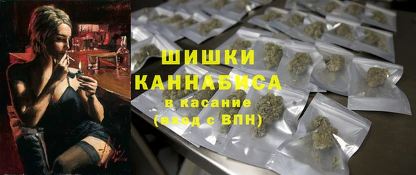 стаф Бородино
